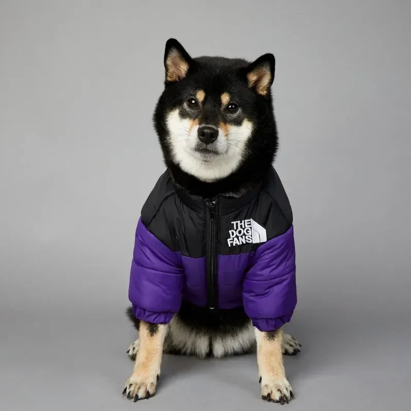 Dog Face Winter Coat/Jacket