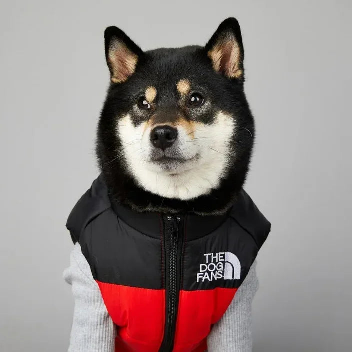 Dog Face Winter Vest