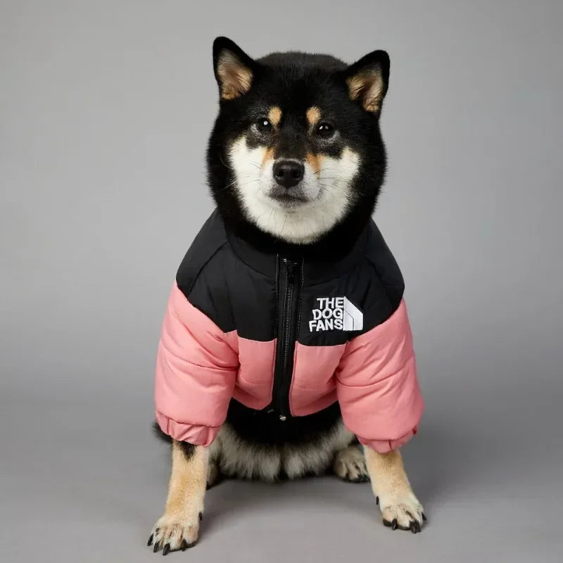 Dog Face Winter Coat/Jacket