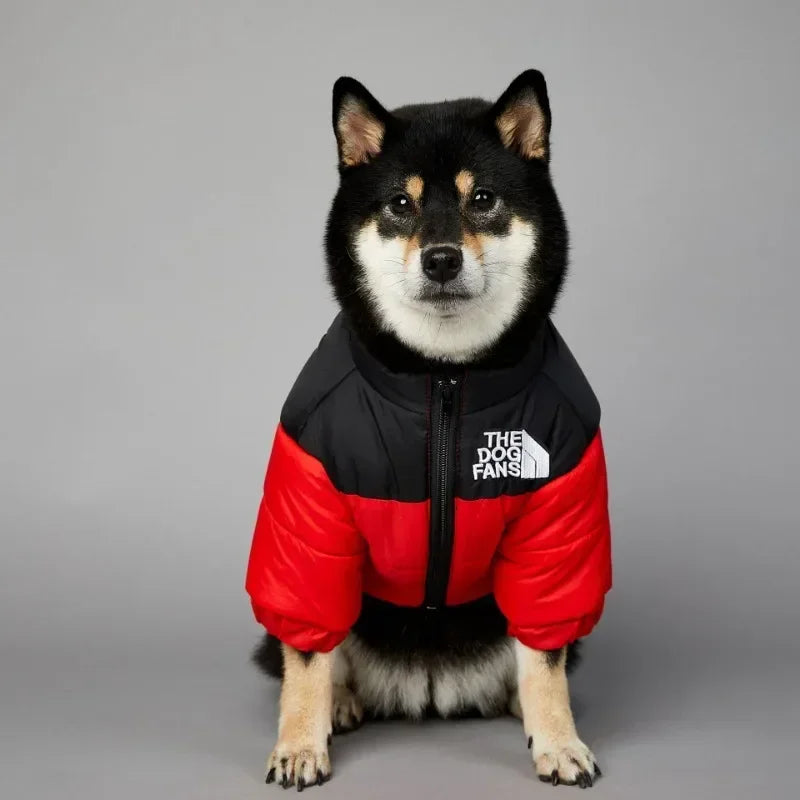 Dog Face Winter Coat/Jacket